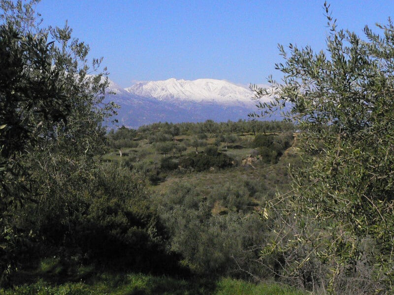 Peloponnes mit Schnee - Olivenmanufaktur